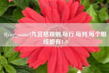 林芝九宫格规则,每行,每列,每个粗线都有1-9