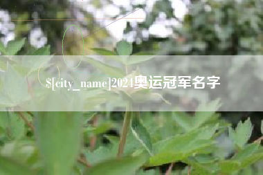 林芝2024奥运冠军名字