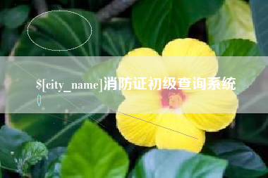 林芝消防证初级查询系统