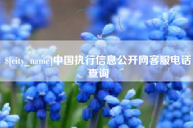 林芝中国执行信息公开网客服电话查询