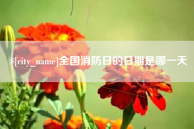 林芝全国消防日的日期是哪一天