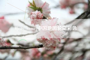 林芝中国地图轮廓彩色