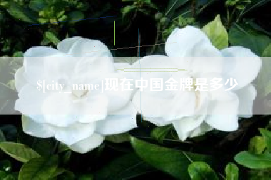 林芝现在中国金牌是多少