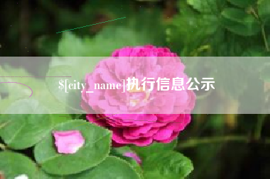 林芝执行信息公示