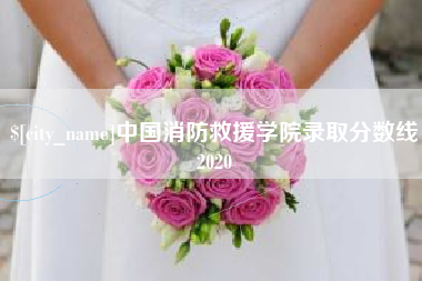 林芝中国消防救援学院录取分数线2020