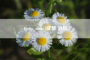 林芝成都 消防