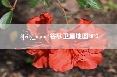 林芝谷歌卫星地图2025
