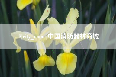 林芝中国消防器材商城