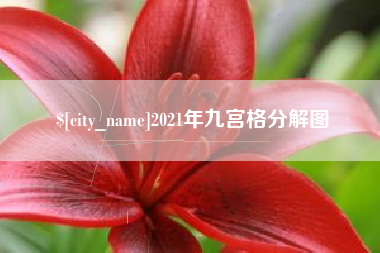 林芝2021年九宫格分解图