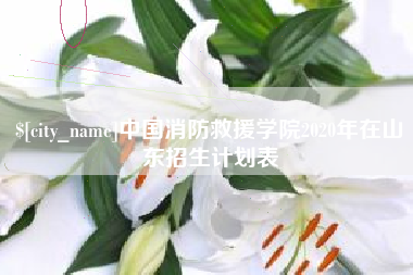 林芝中国消防救援学院2020年在山东招生计划表
