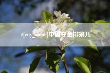 林芝中国夺金排第几