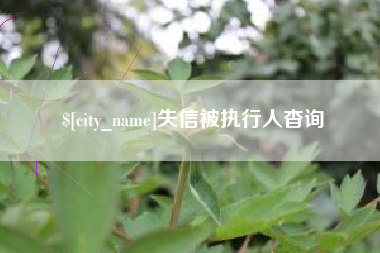 林芝失信被执行人杳询