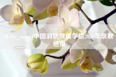 林芝中国消防救援学院2020年录取结果