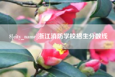 林芝浙江消防学校招生分数线