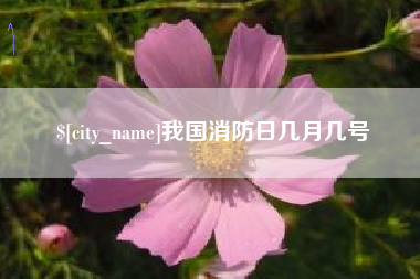 林芝我国消防日几月几号