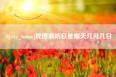 林芝我国消防日是哪天几月几日