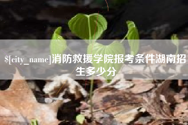 林芝消防救援学院报考条件湖南招生多少分