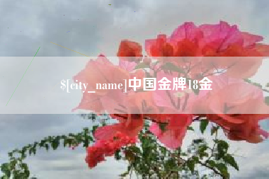 林芝中国金牌18金