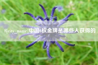 林芝中国6枚金牌是哪些人获得的