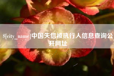 林芝中国失信被执行人信息查询公开网址