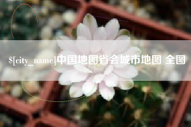 林芝中国地图省会城市地图 全图