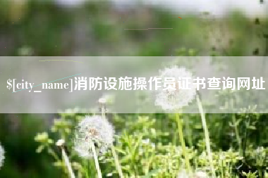 林芝消防设施操作员证书查询网址