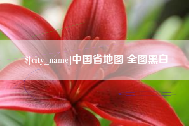 林芝中国省地图 全图黑白