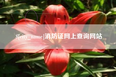林芝消防证网上查询网站