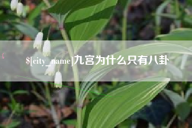 林芝九宫为什么只有八卦