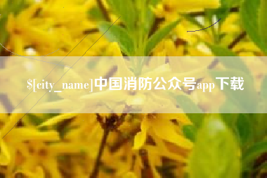 林芝中国消防公众号app下载