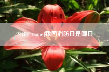林芝我国消防日是哪日