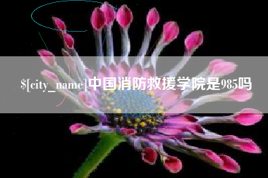 林芝中国消防救援学院是985吗