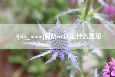 林芝消防ccc认证什么意思
