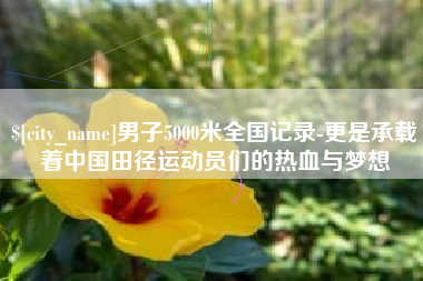 林芝男子5000米全国记录-更是承载着中国田径运动员们的热血与梦想
