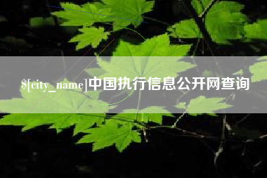 林芝中国执行信息公开网查询
