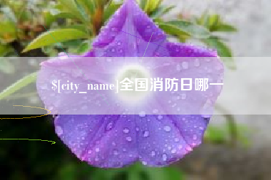 林芝全国消防日哪一