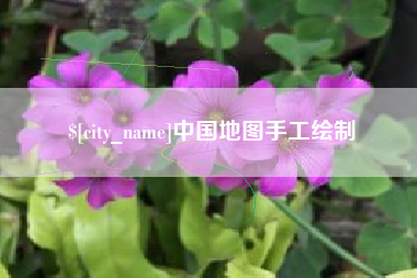 林芝中国地图手工绘制