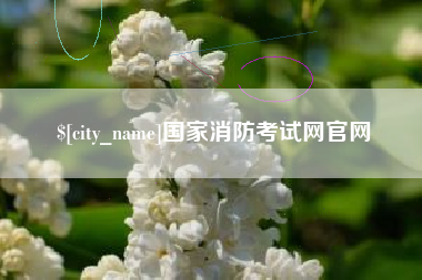 林芝国家消防考试网官网