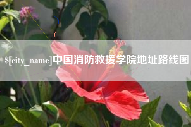 林芝中国消防救援学院地址路线图