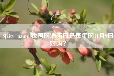 林芝我国的消防日是每年的11月9日对吗？
