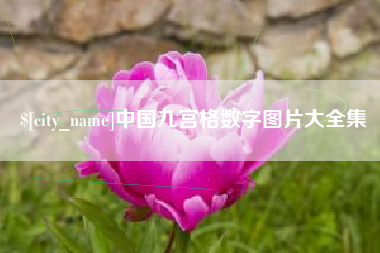 林芝中国九宫格数字图片大全集