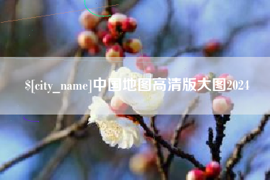 林芝中国地图高清版大图2024