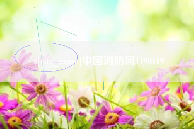 林芝中国消防网1190119