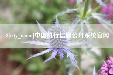 林芝中国执行信息公开系统官网