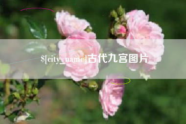 林芝古代九宫图片