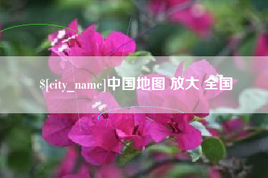 林芝中国地图 放大 全国