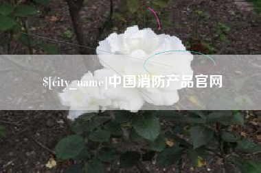 林芝中国消防产品官网