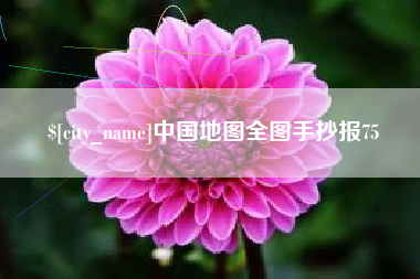 林芝中国地图全图手抄报75