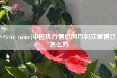 林芝中国执行信息网查到立案信息怎么办