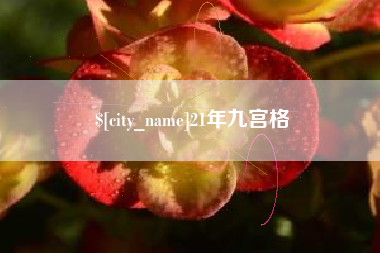 林芝21年九宫格